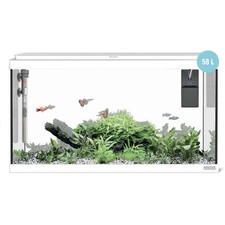 Sicce Acquario Moby Dick 60