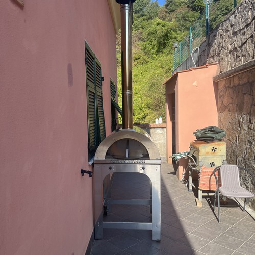 Forno legna esterno - legna,