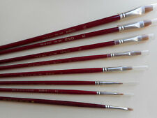 7 Pennelli piatti/spatola in pelo di bue a manico lungo