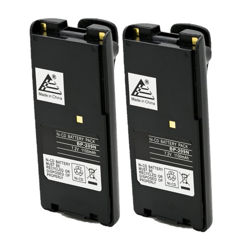 Batteria nicd 2v 1100mah - 2x,