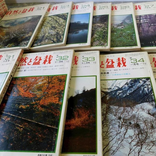 Nature and bonsai magazine - bonsai,