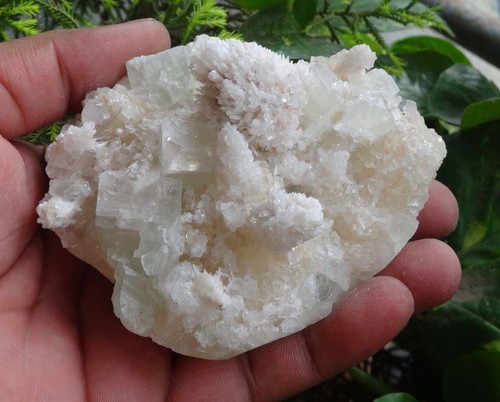 Campione minerali mordenite - di,