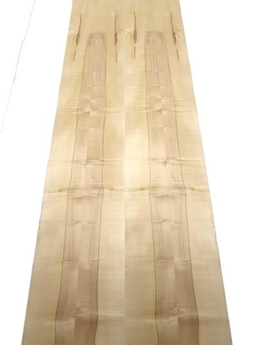 Furnier acero legno - di,