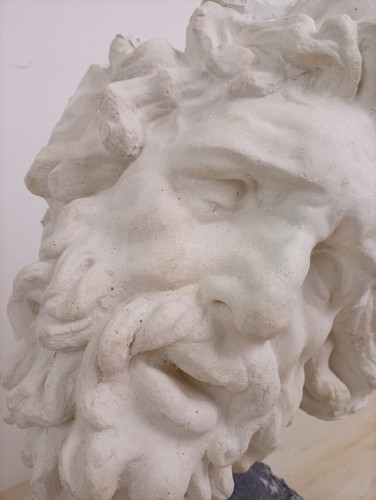 Scultura testa leocoonte - testa, calco