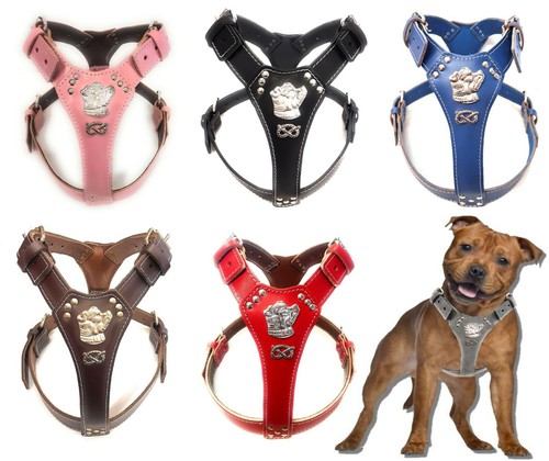 Imbracatura pelle staffy - imbracatura, in