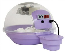 Incubatrice per uova - incubatrice,