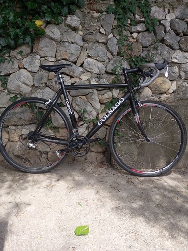 Colnago arte