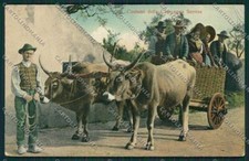 Siena City Costumes Ox Car