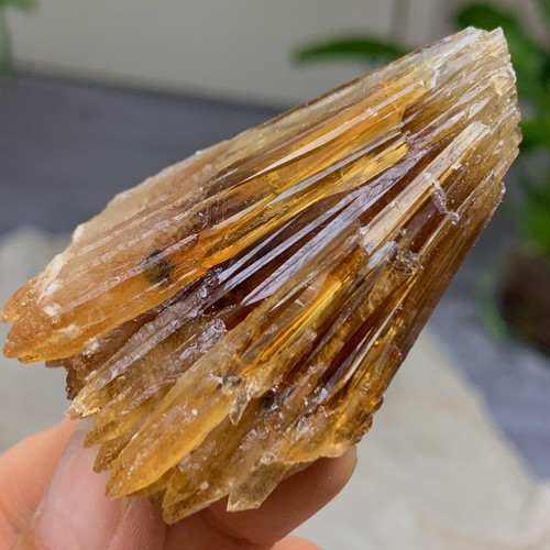 67g ambra naturale - ambra, calcite