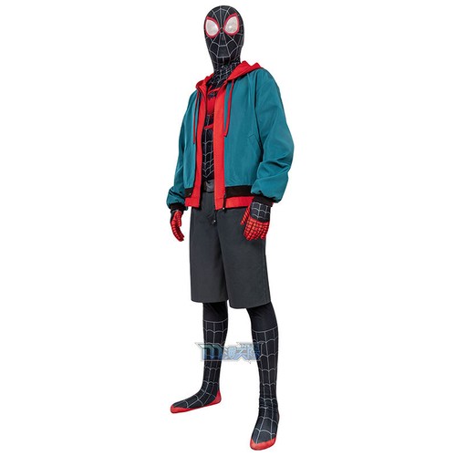 Spider man into - spider-man:, the