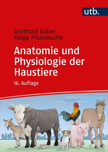 Helga pfannkuche anatomie - helga, /