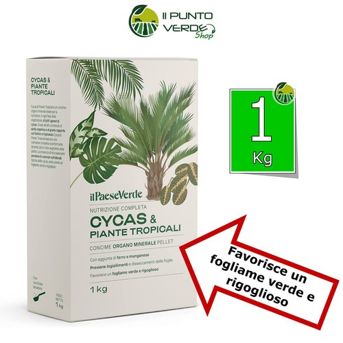 Concime cycas palme piante - palme, e