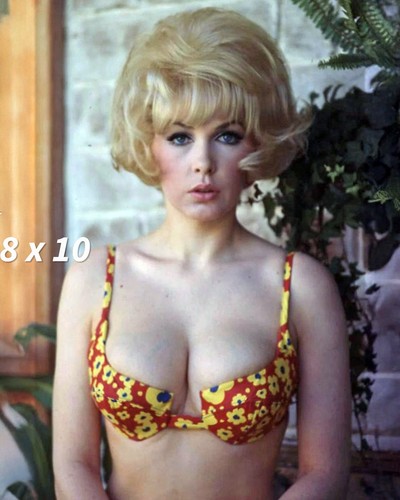 Foto stella stevens - foto, 8x10