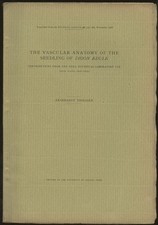 Reinhardt Thiessen / Vascular