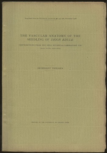 Reinhardt thiessen vascular - reinhardt,