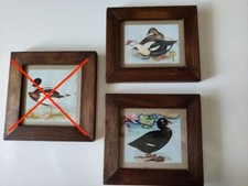 Serie quadri di anatre