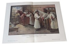 La sieroterapia contro la