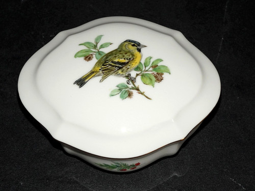 Meissen uccellino dipinto - meissen,