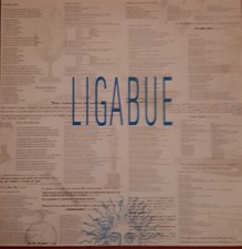 dischi in vinile 33 giri