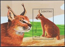 Lesotho 2001 Caracal Sauvages Chats Animaux Faune Nature Conservation m s MNH