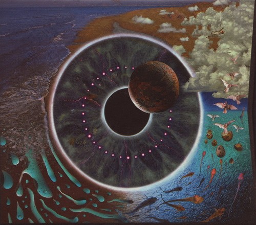 Pink floyd pulse - floyd, (2xcd)