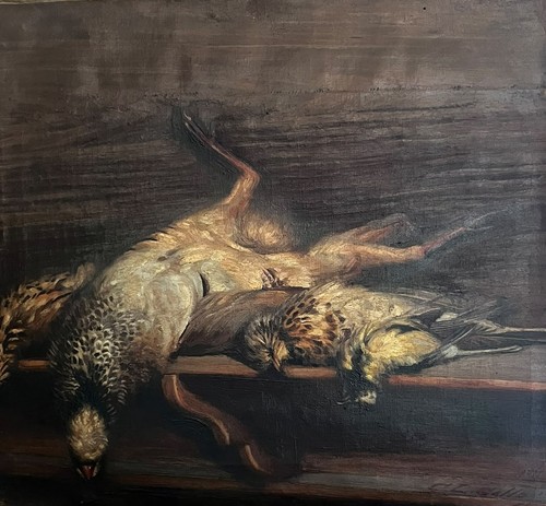 Carlo leone gallo leonin - carlo,