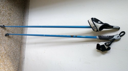 Salomon bastoncini trekking