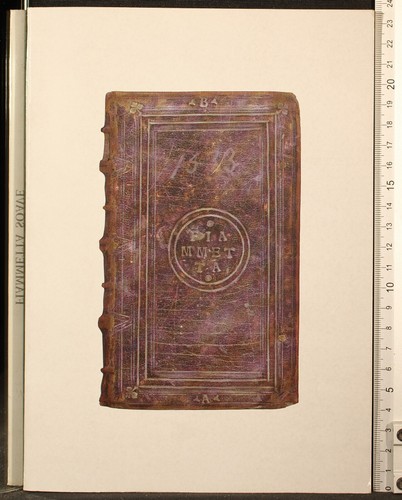 Una scelta libri fiammetta - di, libri.