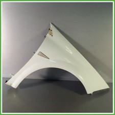 Parafango Carrozzeria