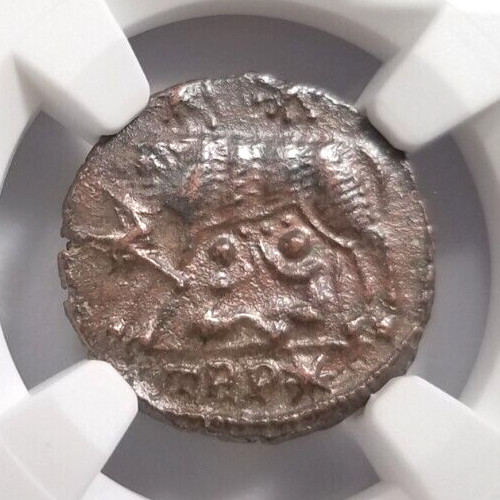 Gemelli lupo costantiniani ngc - lupo,