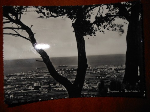 Cartolina livorno panorama - cartolina,