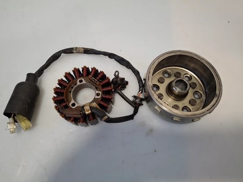 Statore alternatore yamaha - statore,
