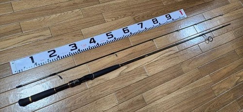 Daiwa morethan branzino - daiwa,