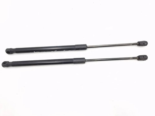 8731g3 pistoncini portellone - pistoncini,