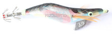 Totanara classica pesca - pesca, seppia