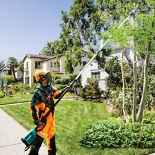 Motosega Potatore Telescopico