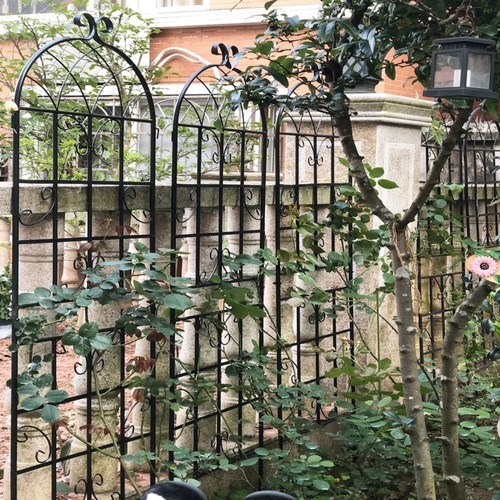 Griglia per rampicanti - griglia,