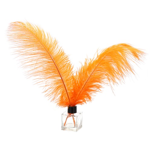 Pcs piume struzzo - di,