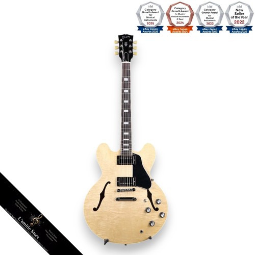Modello chitarra elettrica - chitarra,