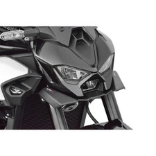 Kawasaki Z900/SE/A2 2025-