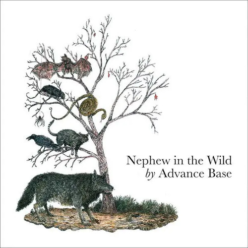 Advance base nephew the - cd,