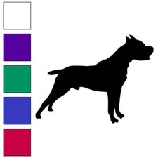 Boxer Cane Corso Pitbull