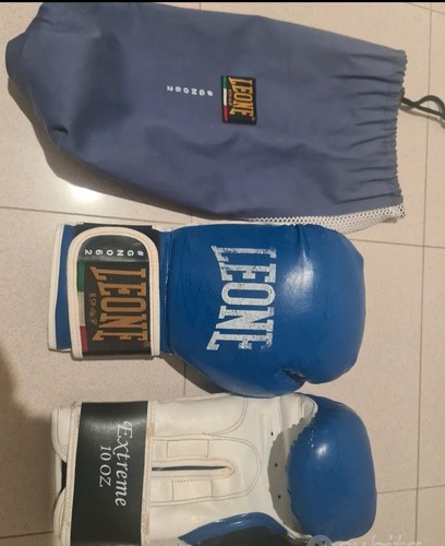 Guanti boxe leone extreme - guanti,