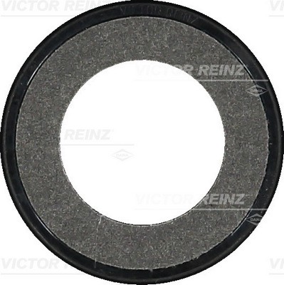 Victor reinz 34313 00 - reinz, 81-34313-00