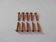 VITI IN ERGAL CARENA TESTA