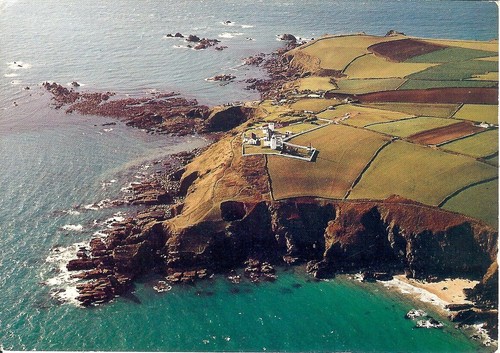 The lizard most southerly - most,