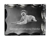 Deutsch Drahthaar - Cristallo