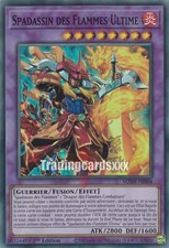 Yu-Gi-Oh! Spadassin des