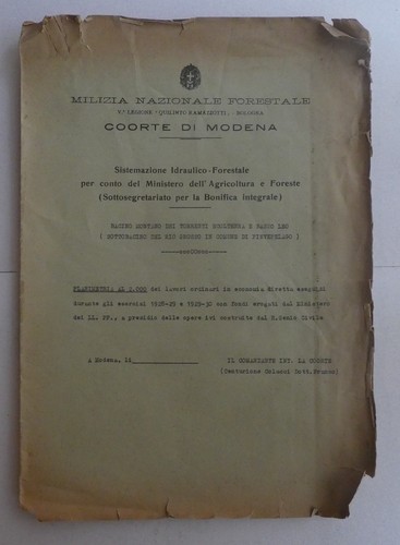 Milizia nazionale forestale