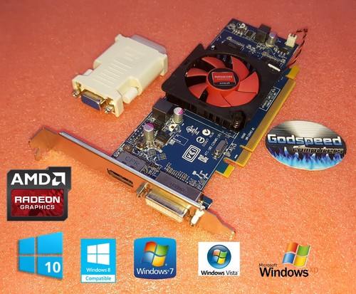 Scheda video windows - 10, hp